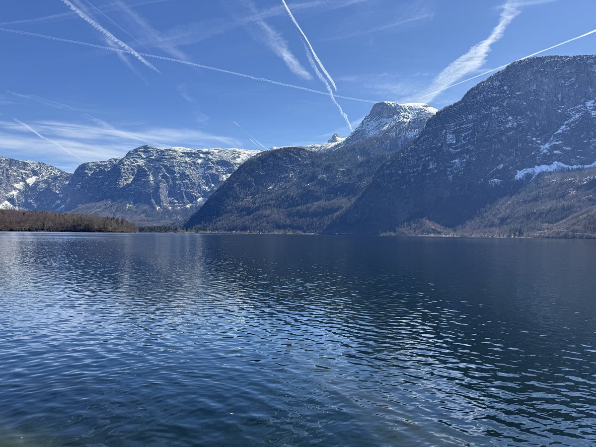 Kemal Sayar tweet media