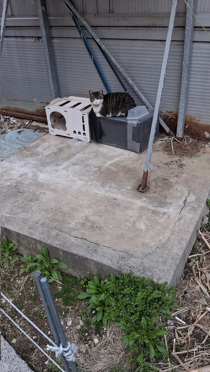 책굽는타자기 tweet media