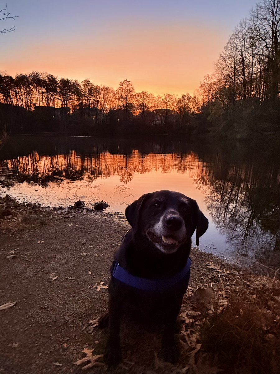 Chris - The Vibe-Based Systems Engineer™️ tweet media