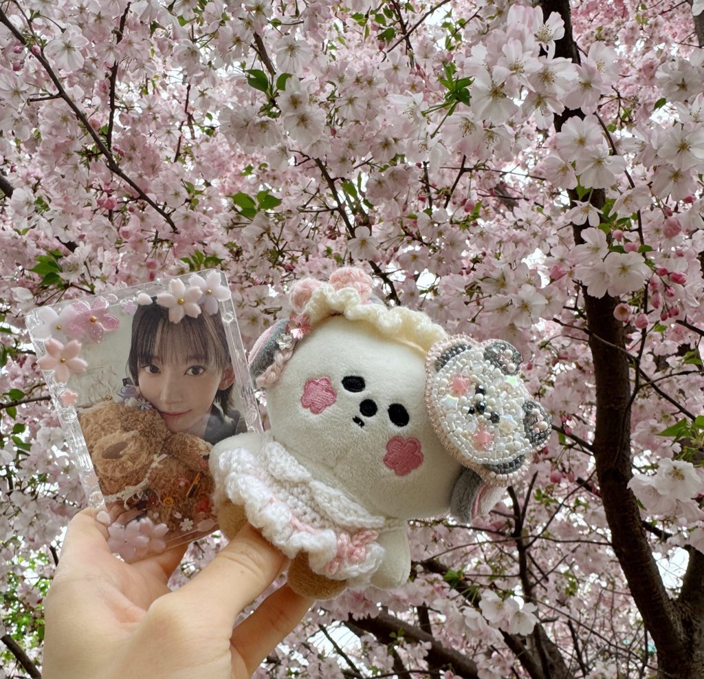 もえみゅん（moe ³⁹🦑） tweet media