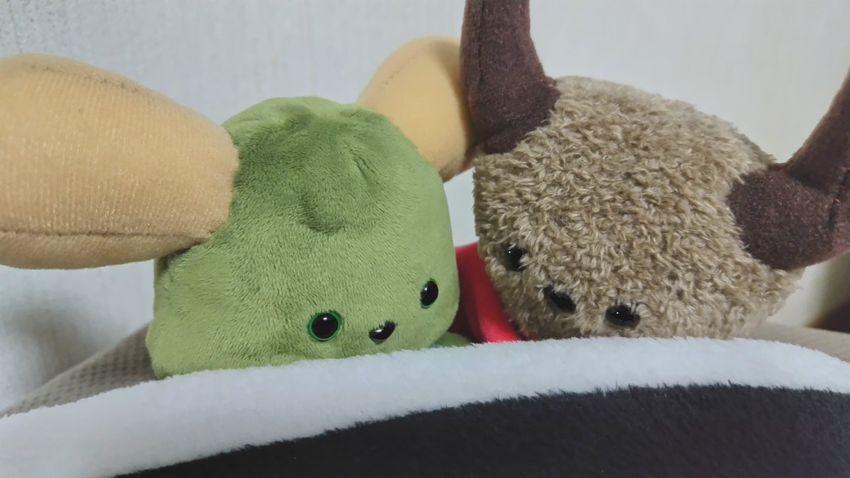 tkrk0o's tweet photo. 意外とまだ寒いからフワフワ毛布うれしいねえ
#ぬいぐるみ
#ぬい撮り https://t.co/B15dWdkvkS