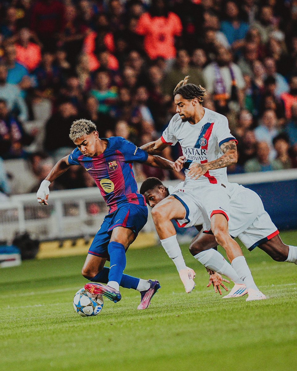 BR0TD🕊 tweet media