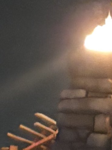 こーら🍓 tweet media