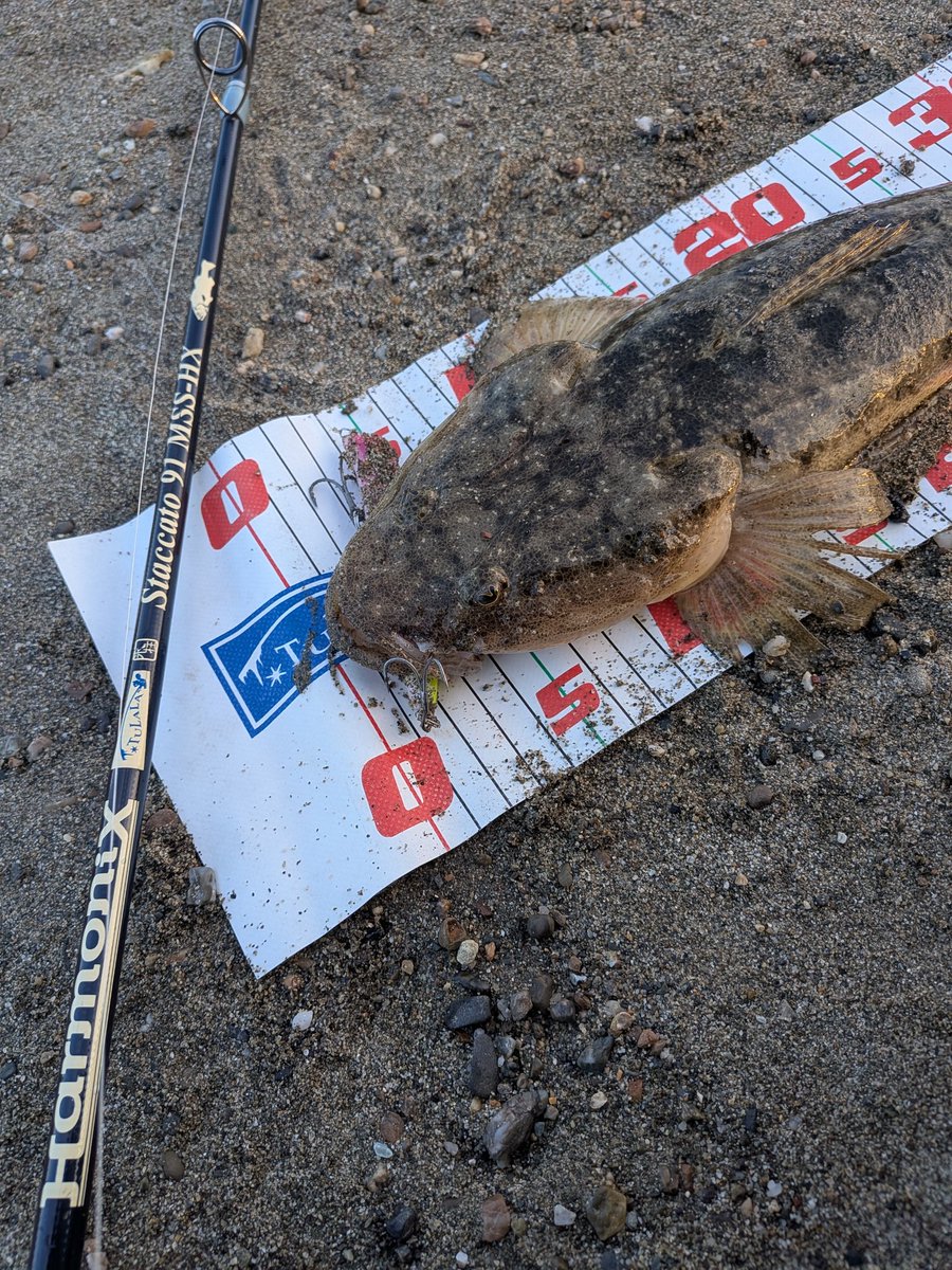 the SODA tweet media