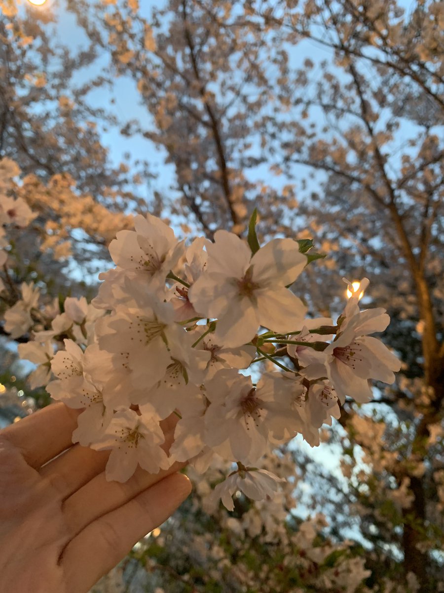 はるみに@D垢 tweet media