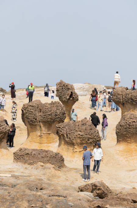 Rotary Brasil tweet media