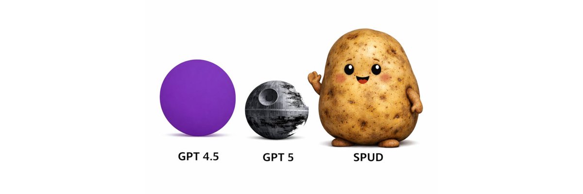 tymoteusz tweet media