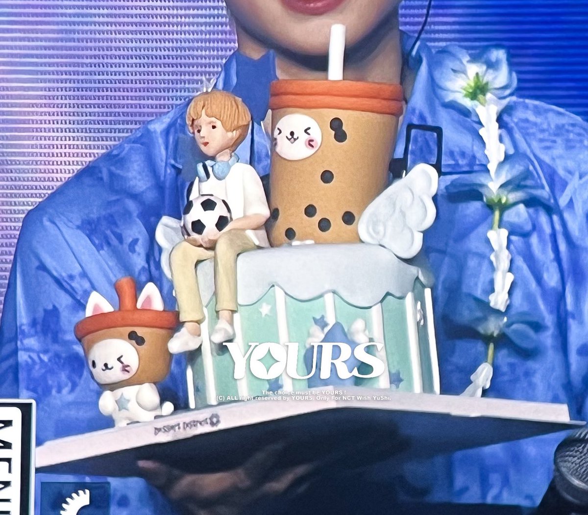 🐈 day tweet media