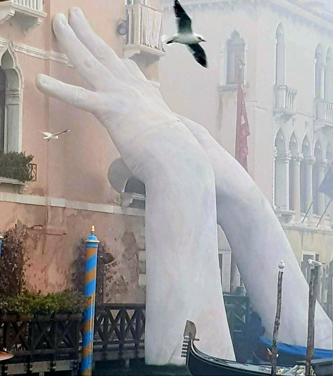 Daily Picture Theme tweet media