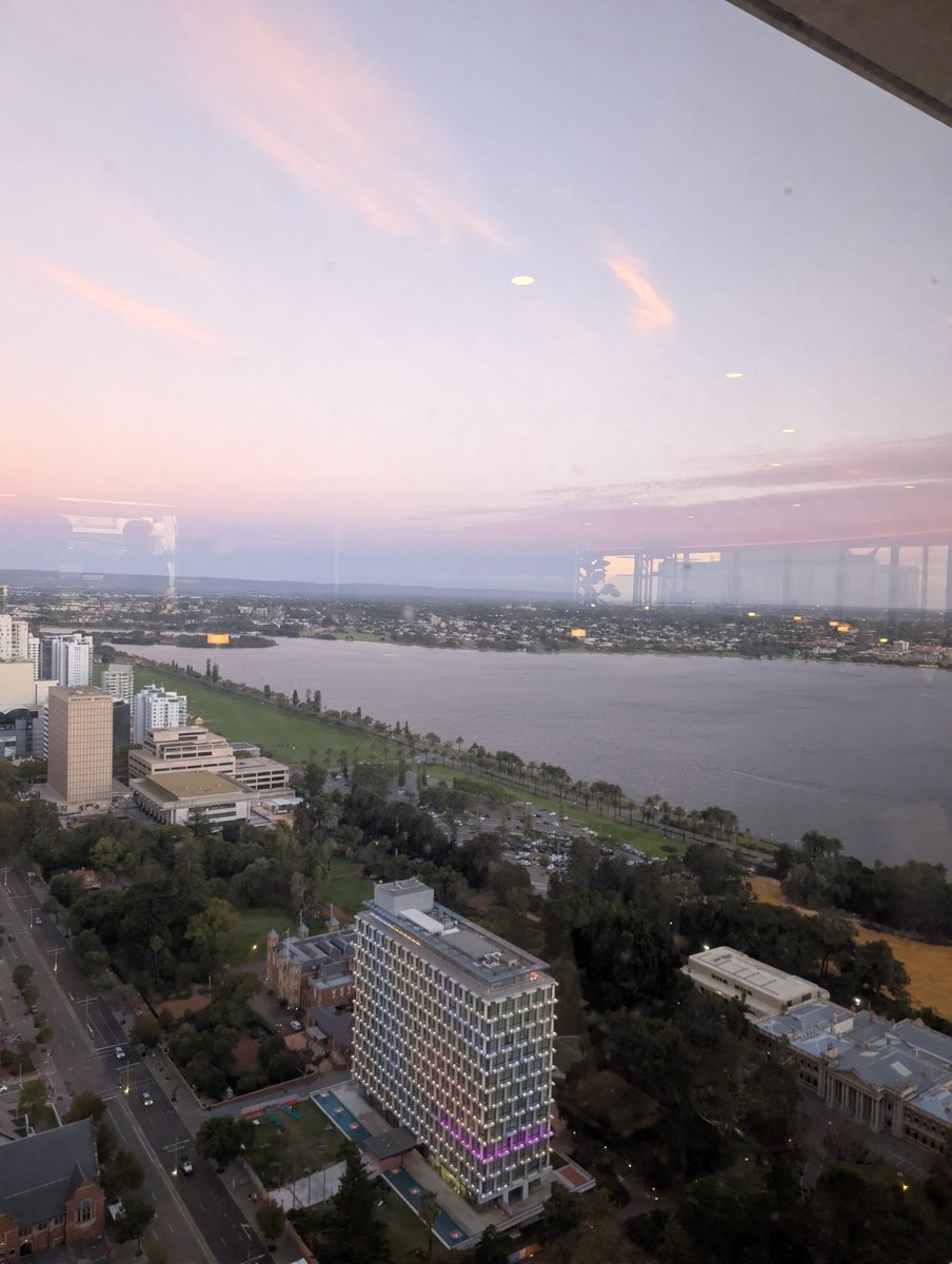 Ryleyyy 🦴 ✨➡️WAFF|NFC tweet media