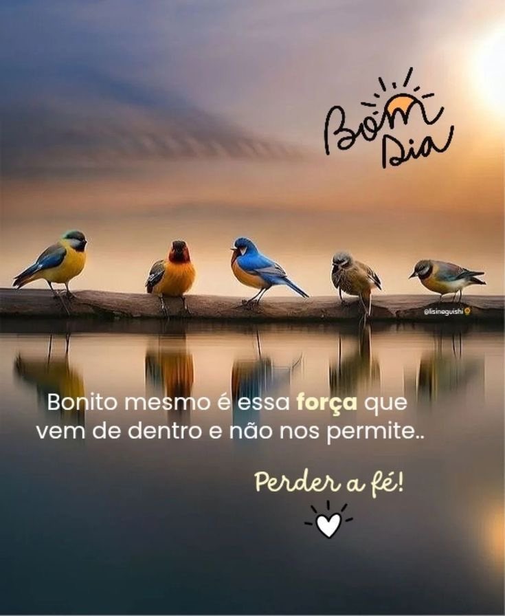 Davison Robson ®️ tweet media