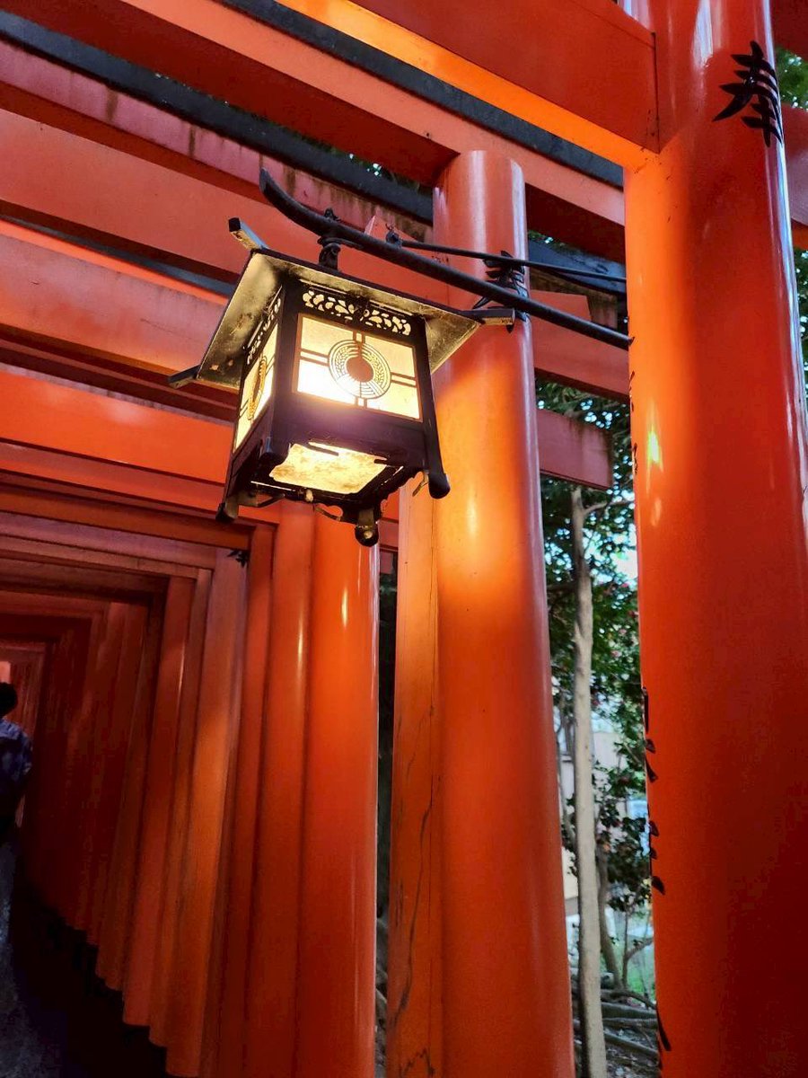 月×月（るなるな） tweet media