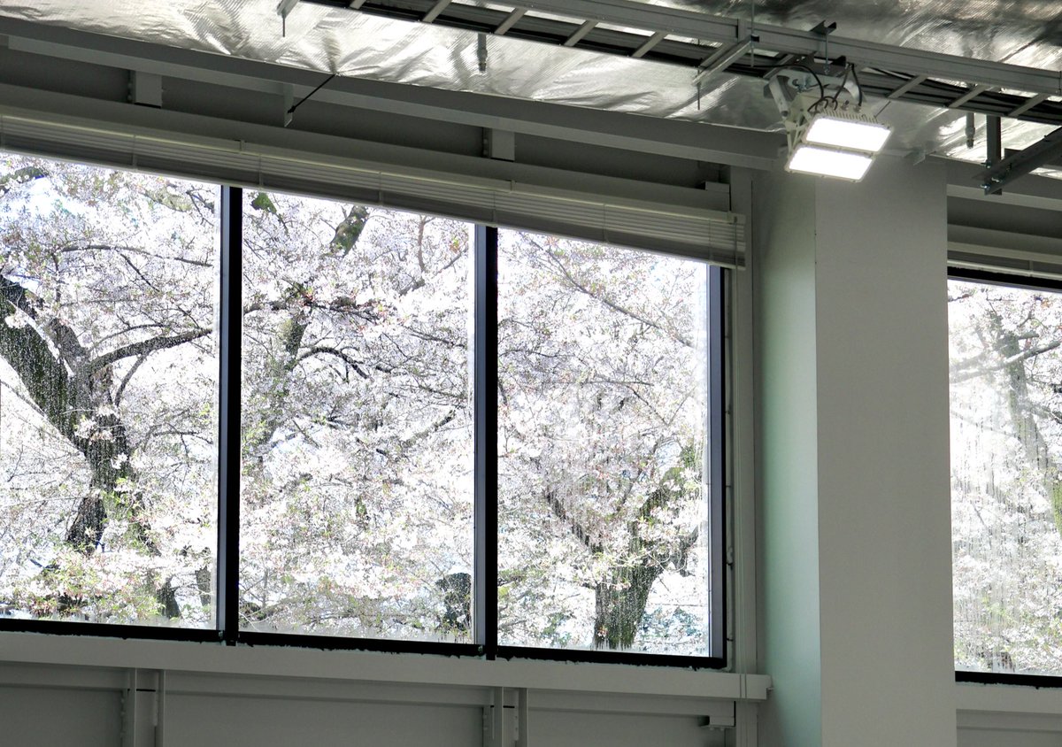 自戒予告@5.a!📸 tweet media