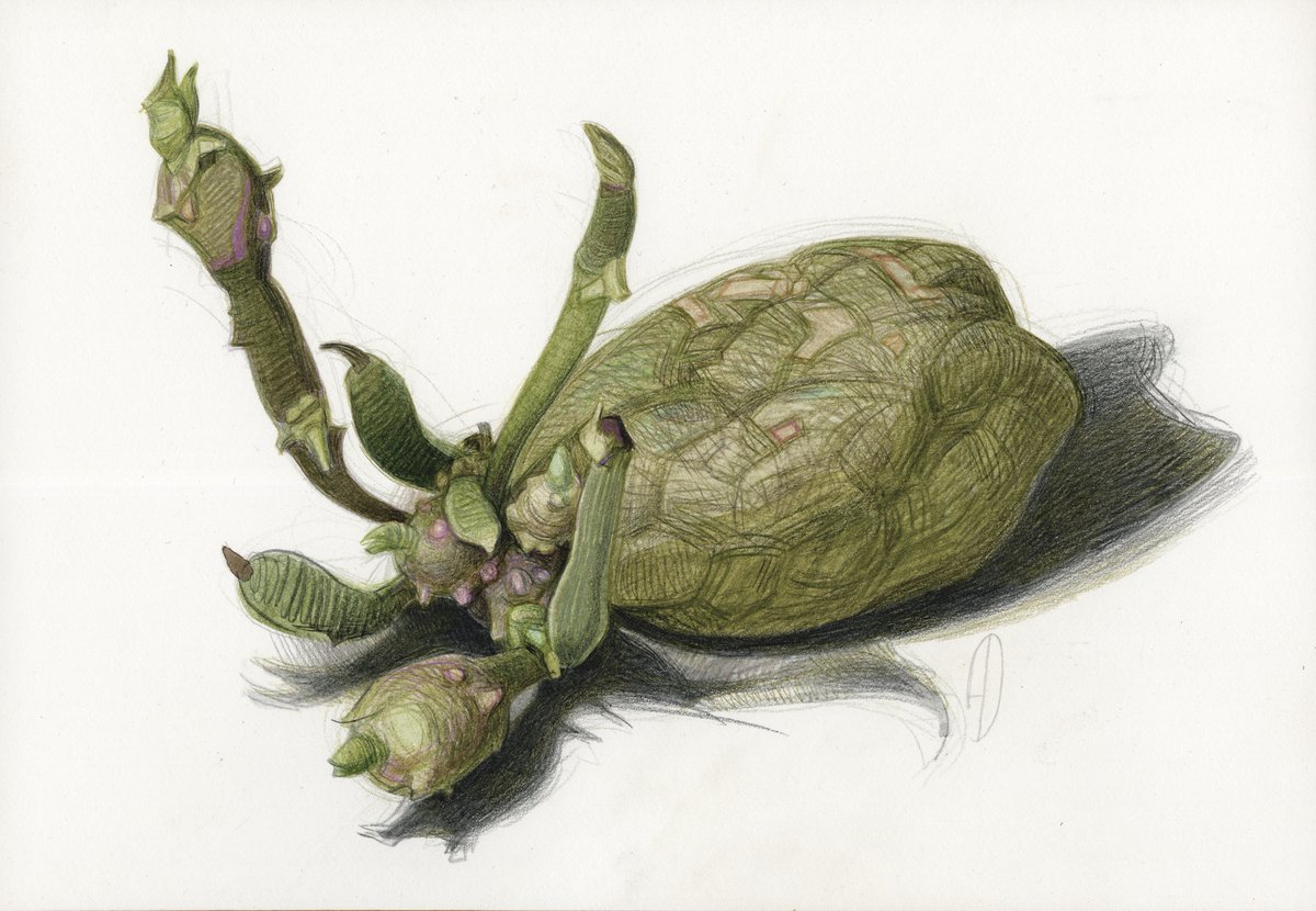 duginart_Olga's tweet photo. ©Andrej Dugin
THE POTATO
color pencils
2026
original graphic work - https://t.co/LQlpF0Yhhe
#graphics #pencilart #drawinng #collection #artwork #stilllife https://t.co/0GLa8czJix