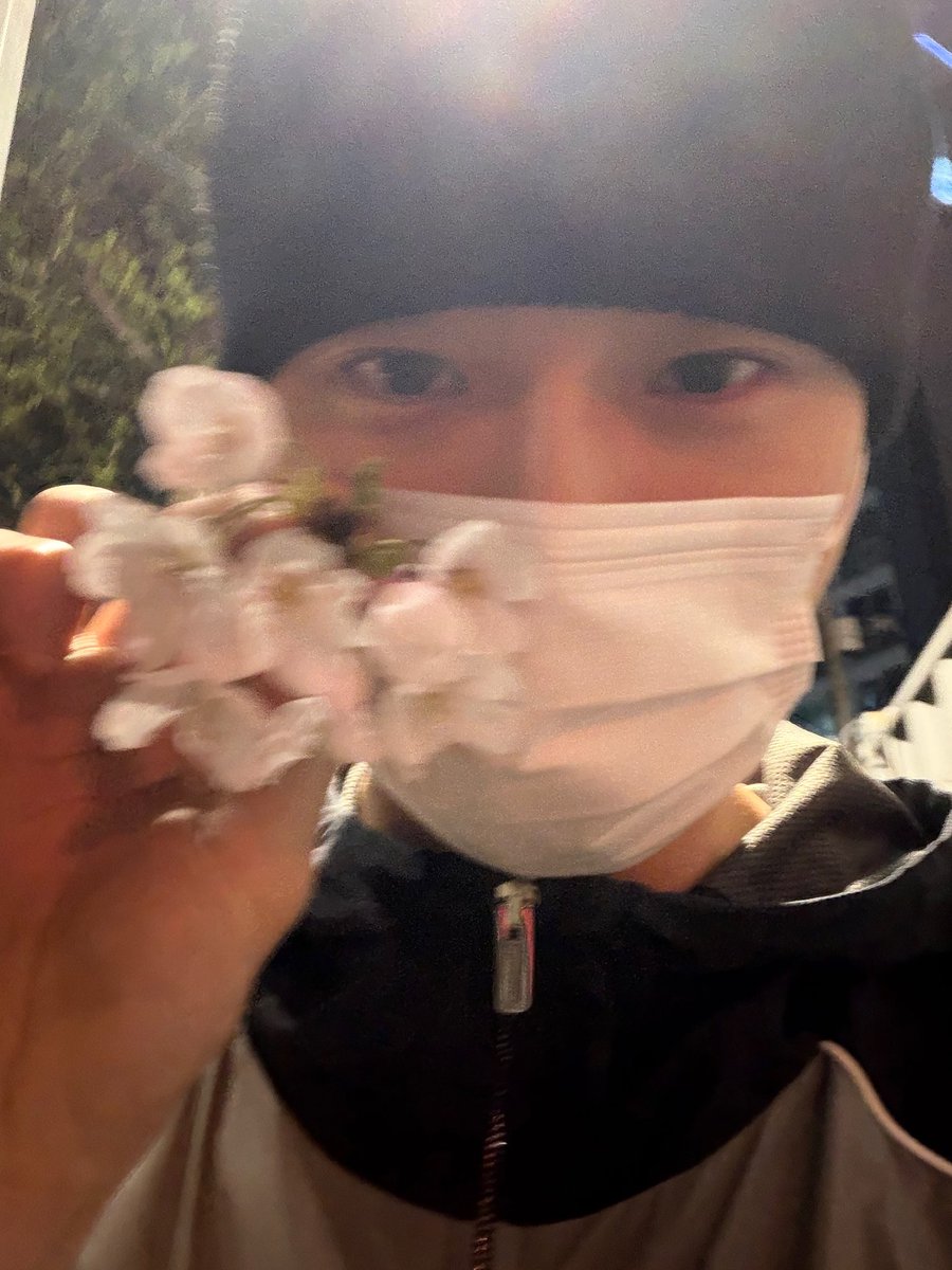 벛꽃♡