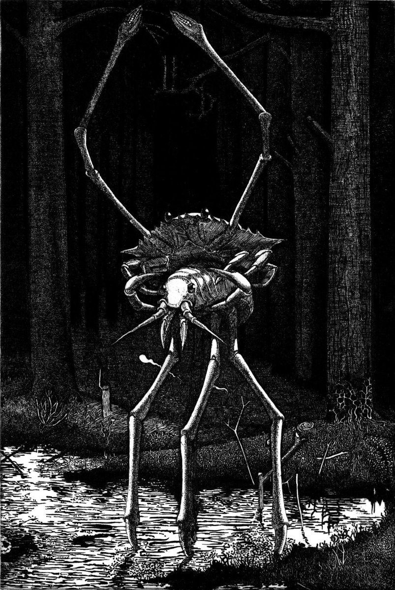 本間洋 tweet media