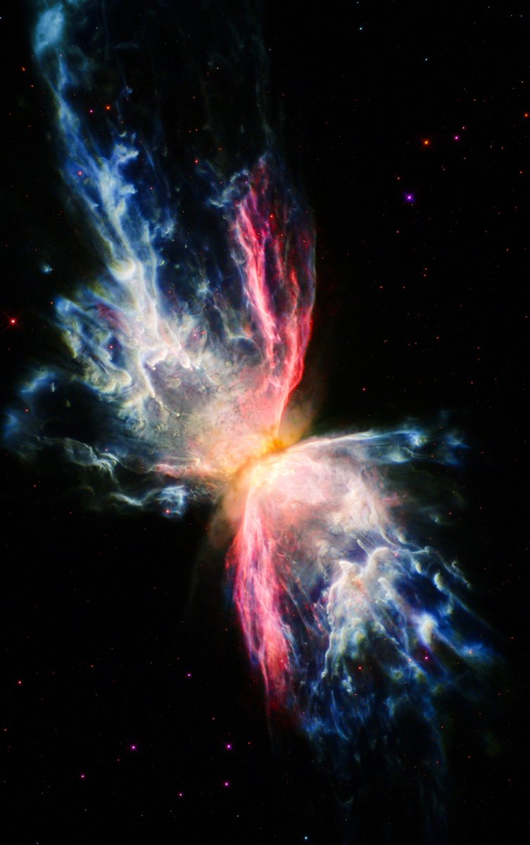 Night Sky Today tweet media