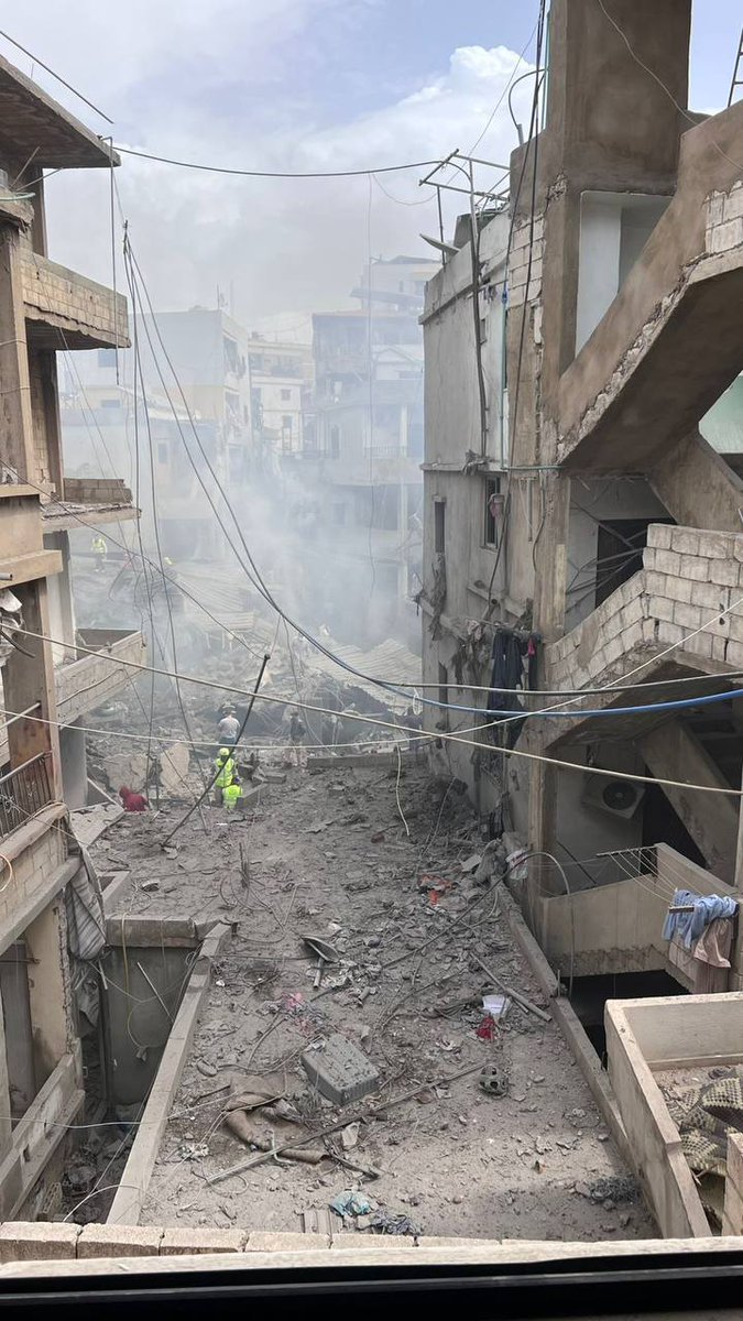 roqayah chamseddine tweet media