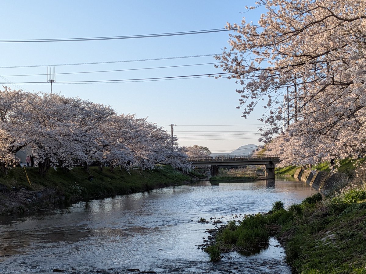 🎶じゅんじゅん🎶 tweet media