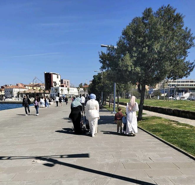 Zmago J. Plemeniti tweet media