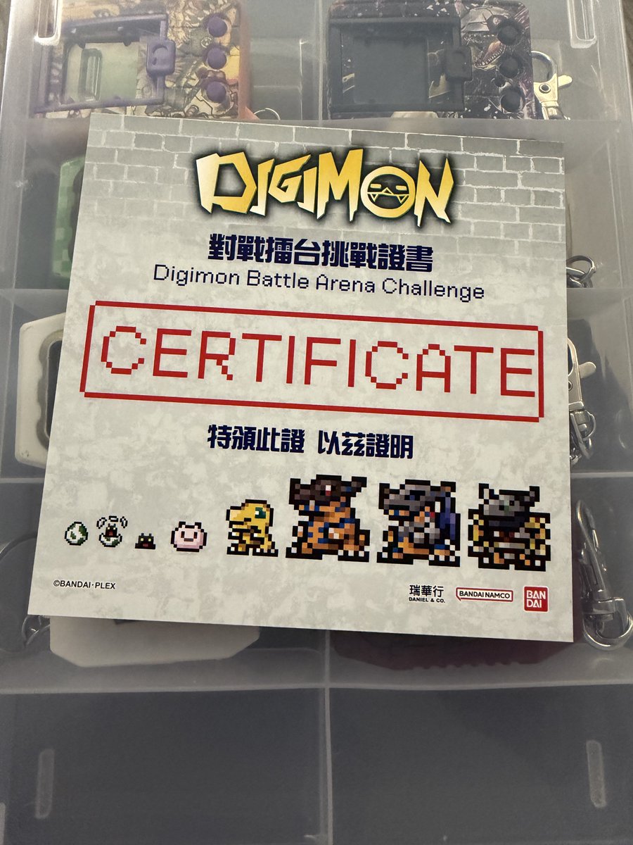 🌵でんちゃカクトス💎 tweet media