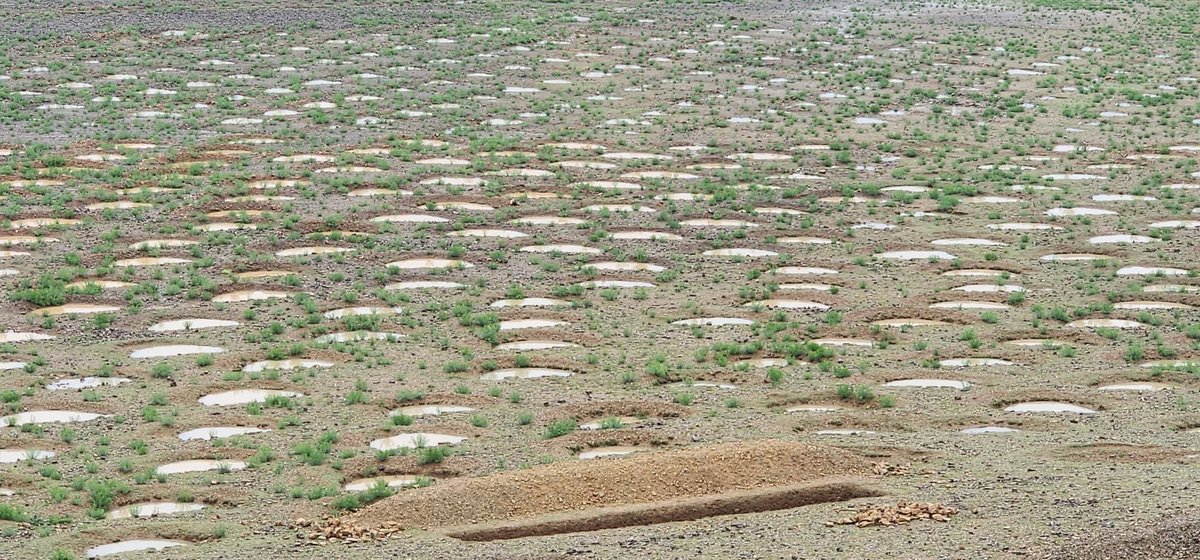 Sohail Noor Khan tweet media