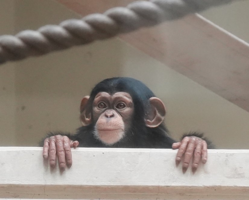 dre dre(ドリドリ) tweet media