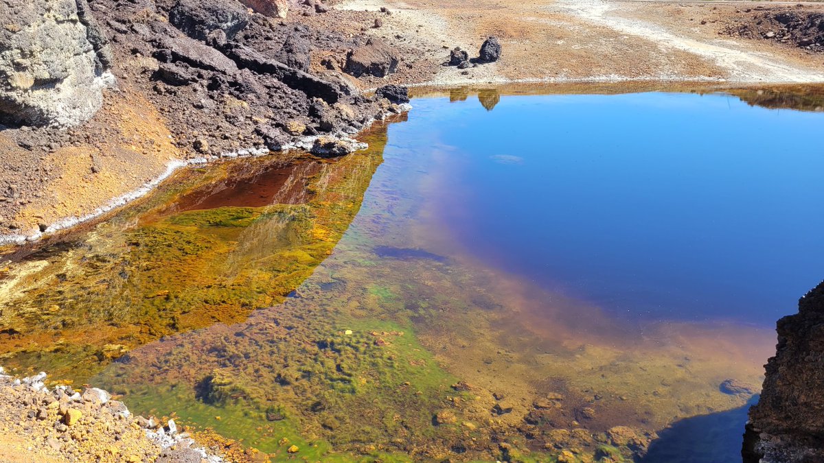 Rebecca Azulay tweet media