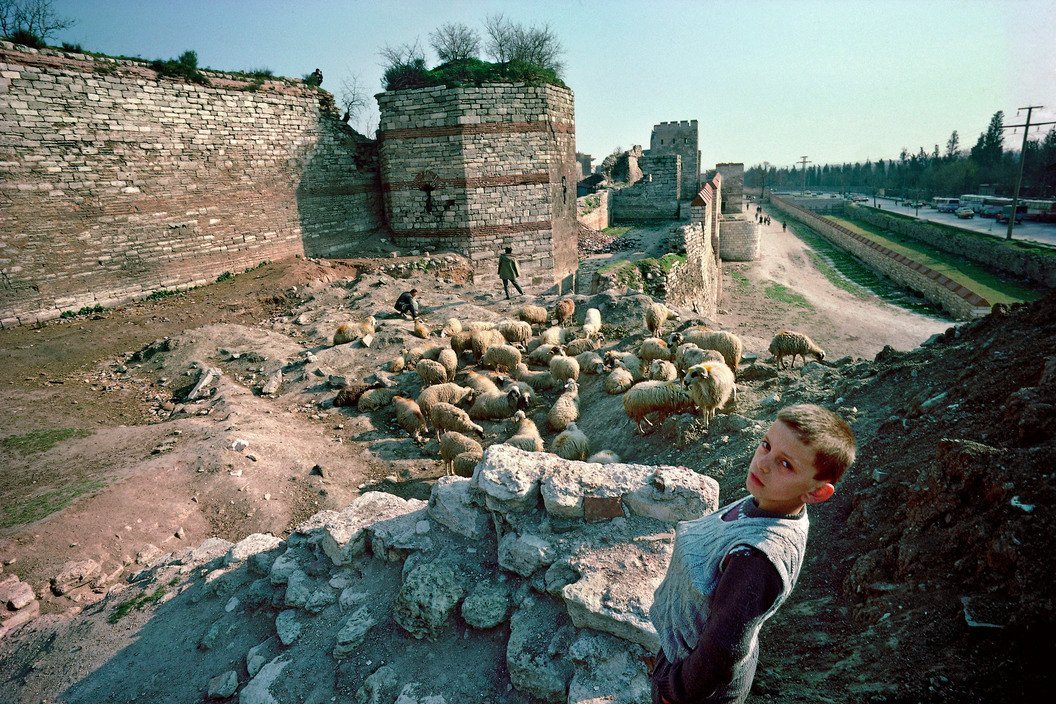 etginlik tweet media