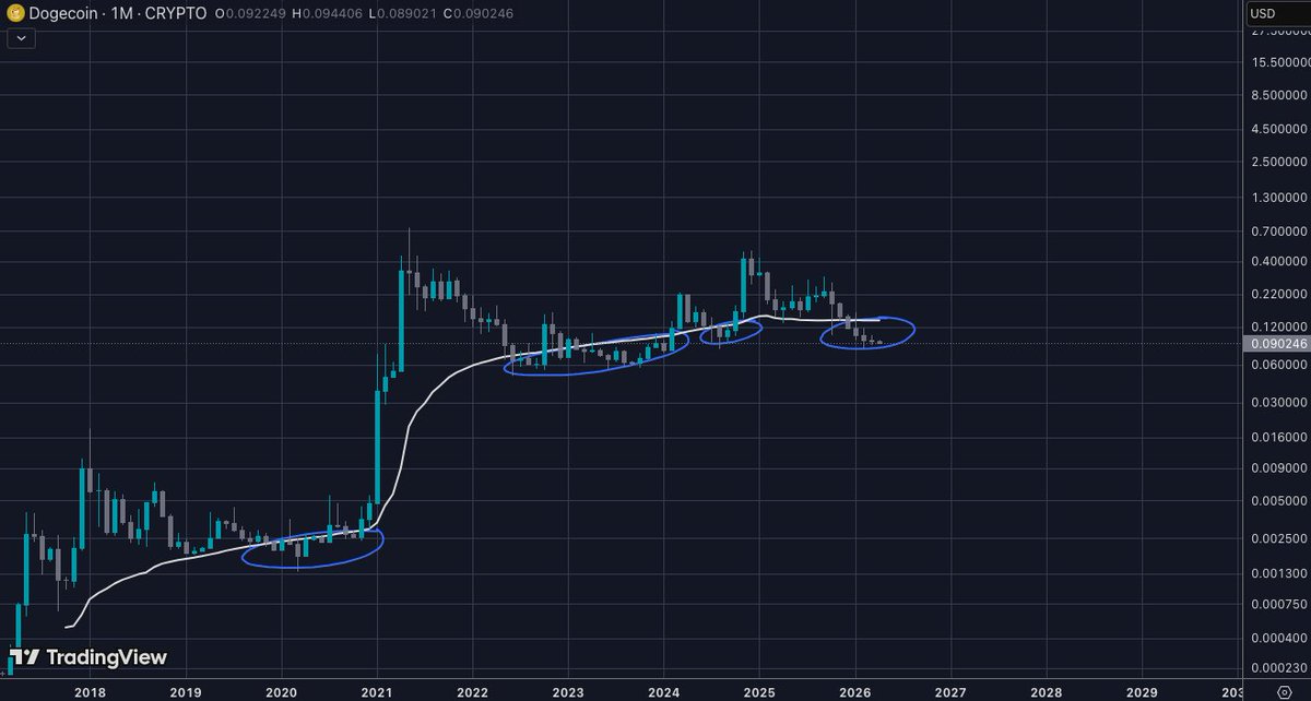 _CryptoSurf's tweet photo. $DOGE

200 WMA sets the rhythm. https://t.co/LurezA8AGd