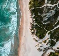 GeneVatow's tweet image. Ubiquitous
in its countenance
between the sea
and land
A world
circling
utter sadness
in the spell
of dark remand
Still blossoms pop
and palm trees grow
along the edges
of the #sand 
                                                                         
#vss365