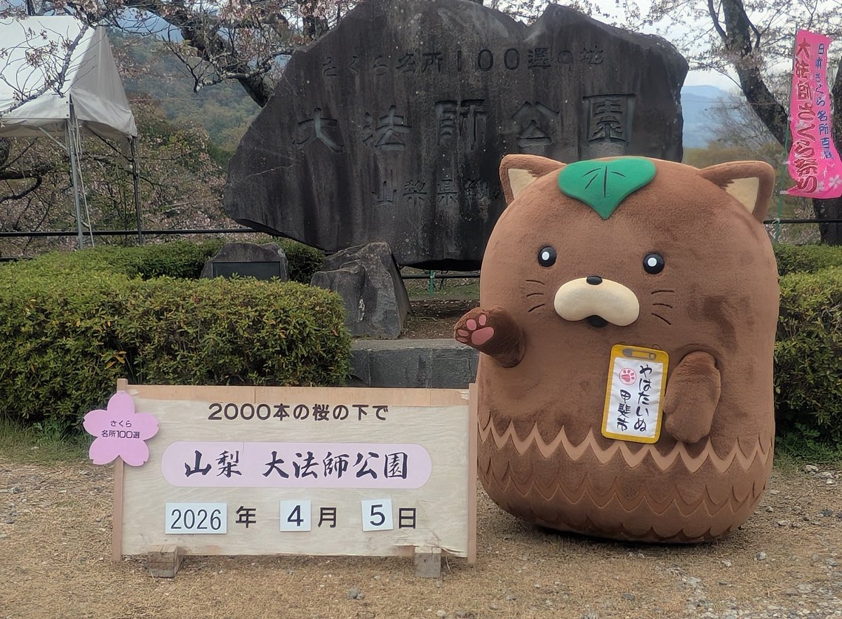 やはたいぬ tweet media