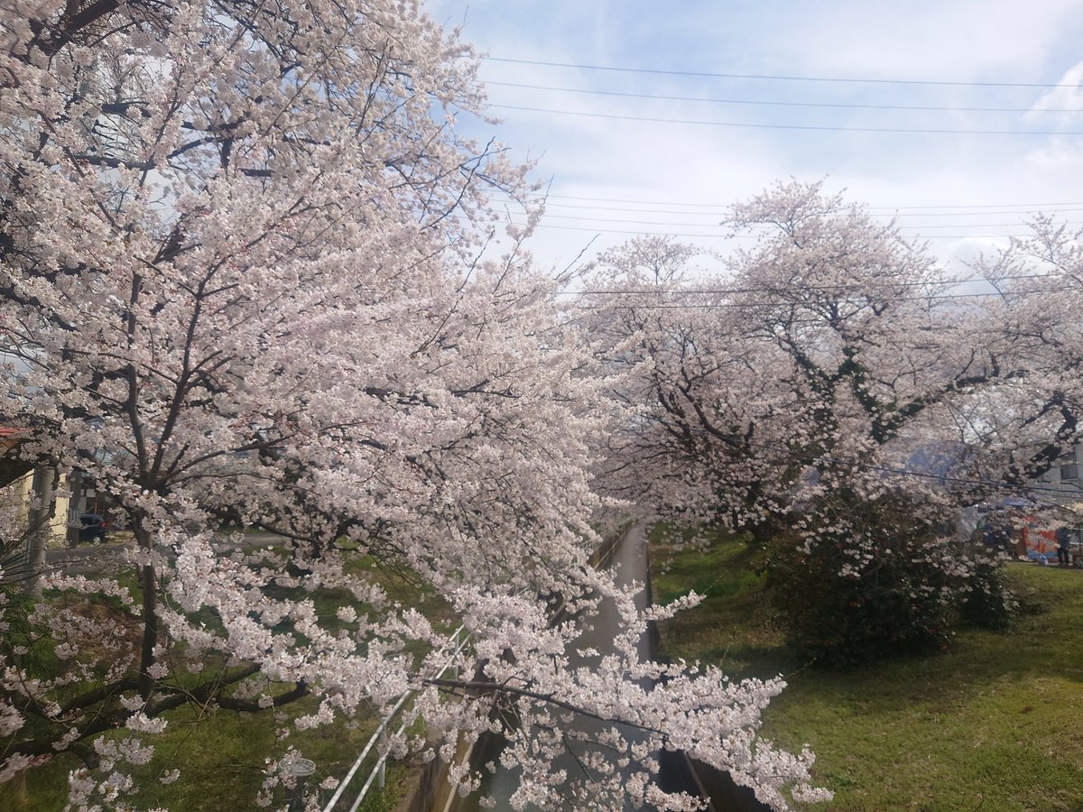 YI－METAL tweet media