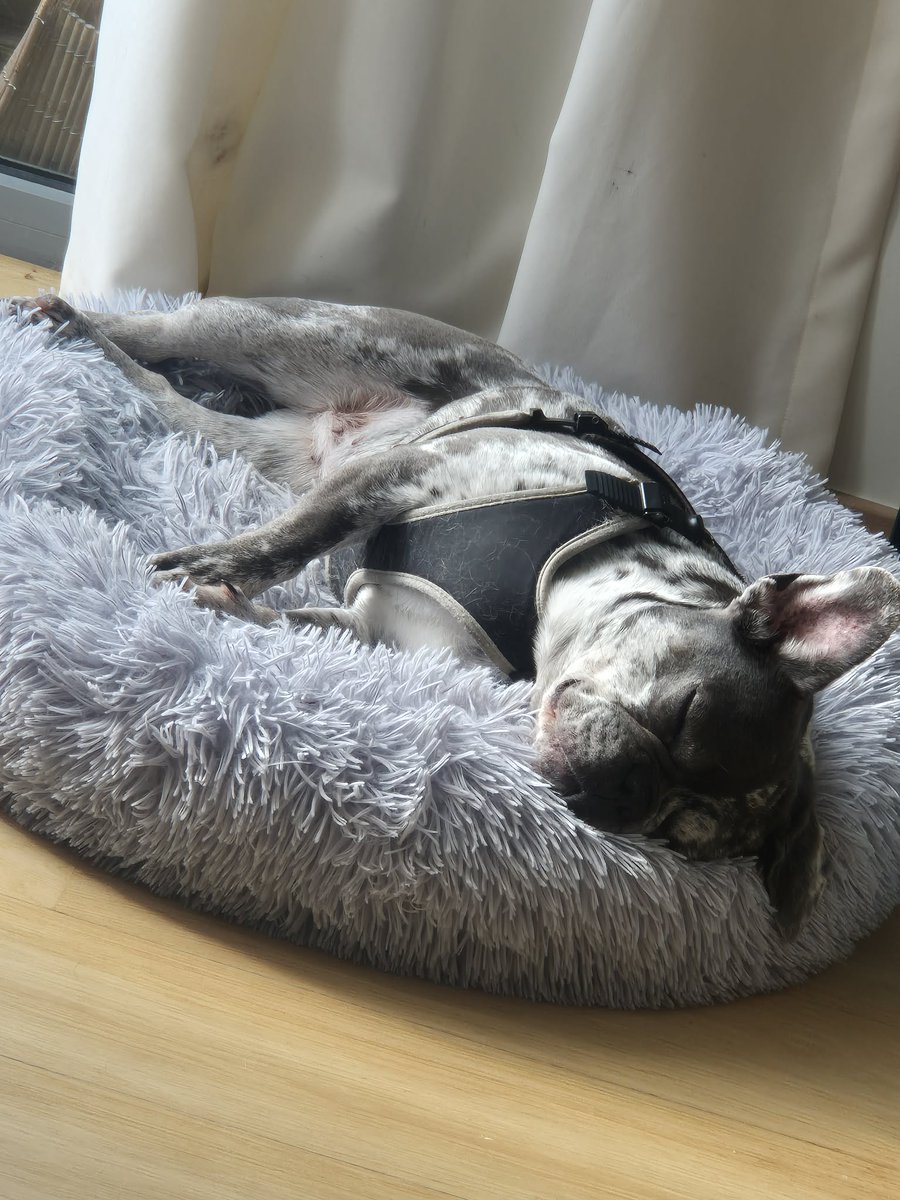 Tendychallenge tweet media