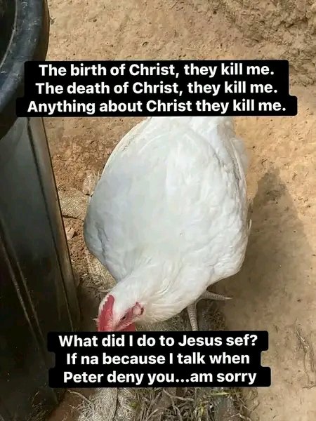 LIFE 🧬 tweet media