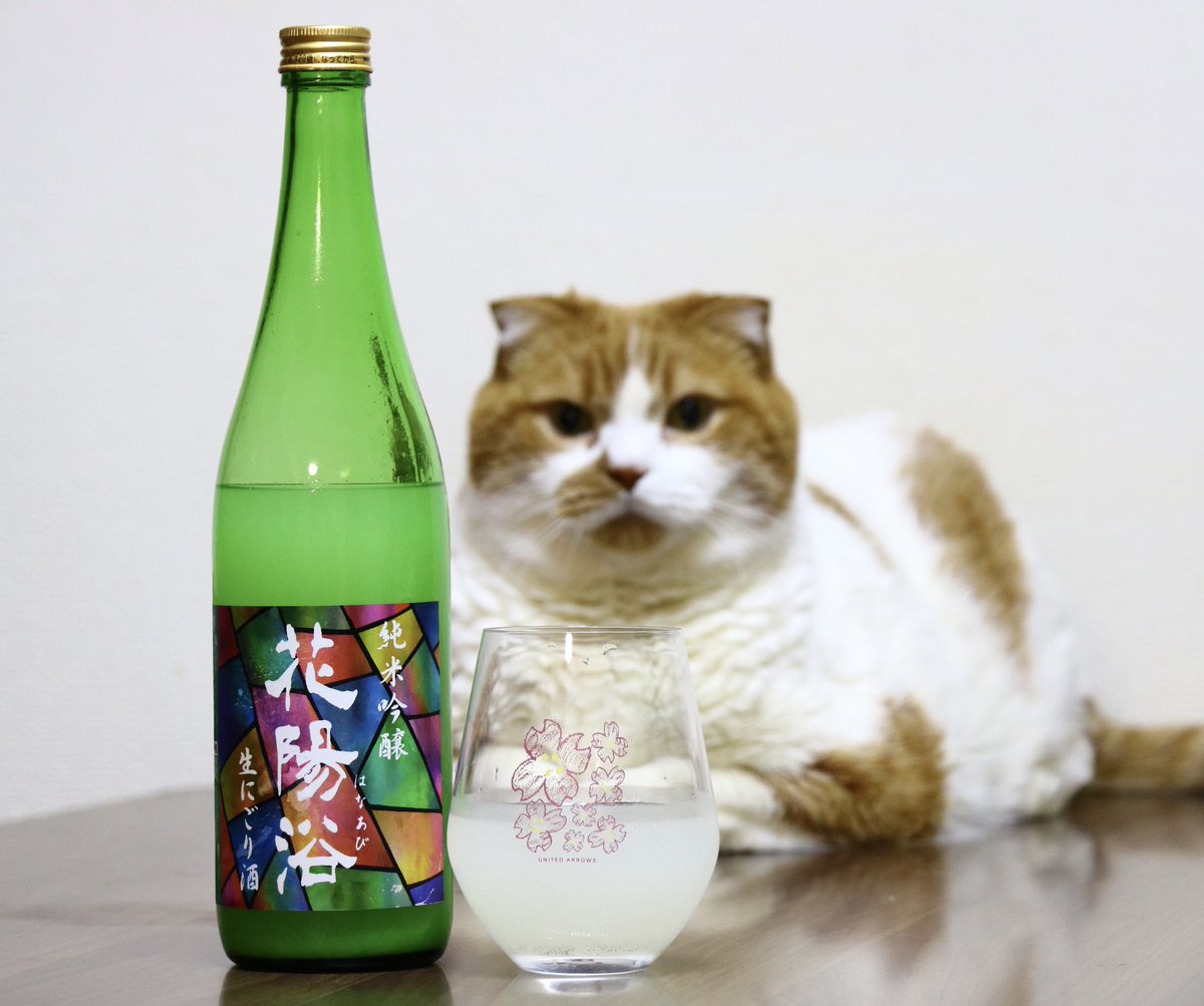 シーナ🐾 tweet media