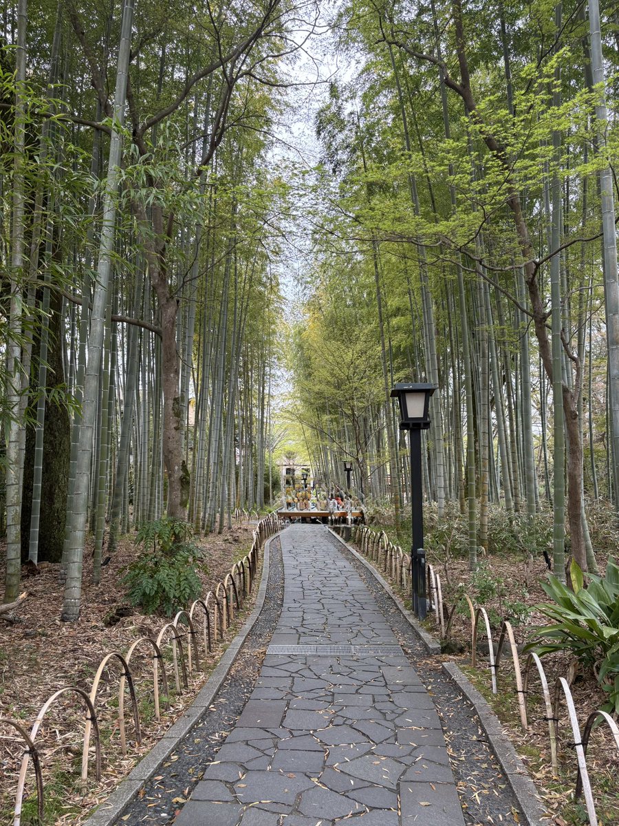 Mr.yuta∞ tweet media