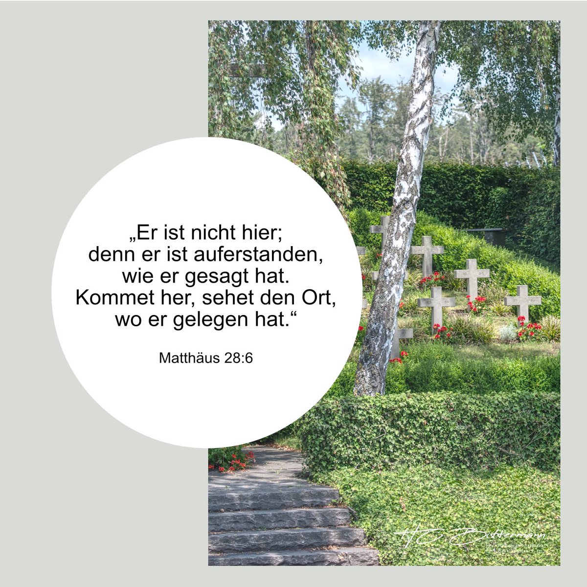 HC Bittermann 🕊️ tweet media