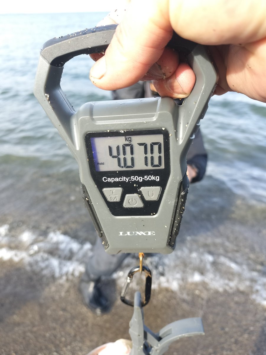 カンちゃんKusaplants tweet media