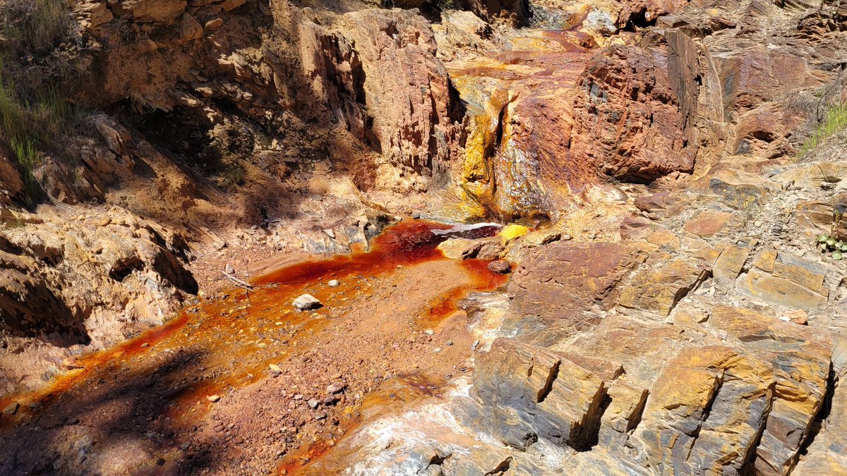 Rebecca Azulay tweet media