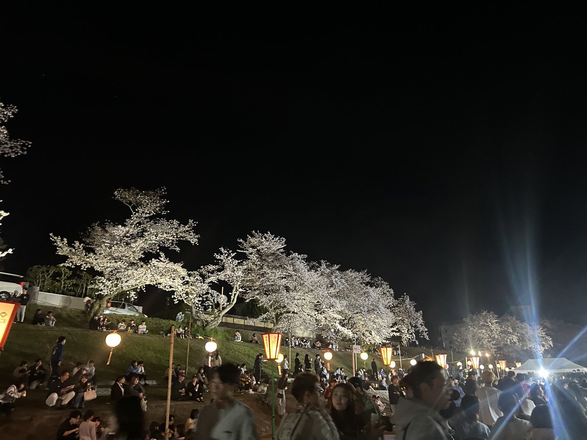 しょーちん/🌸💃👹🐝 tweet media