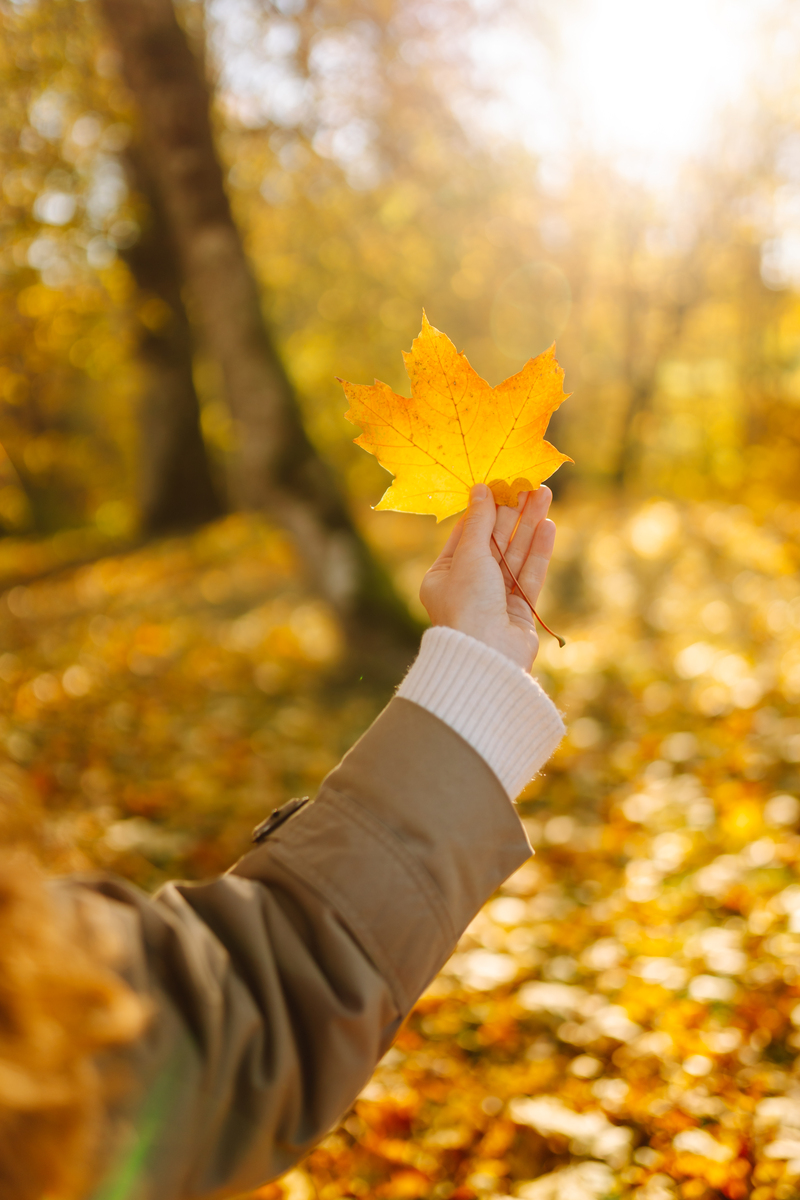 Franklin L. Foster tweet media