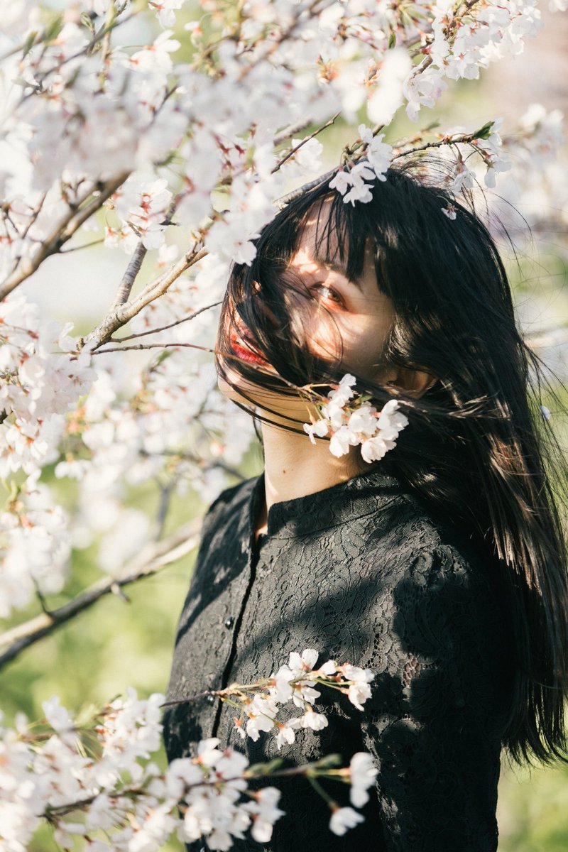 ぐるり tweet media