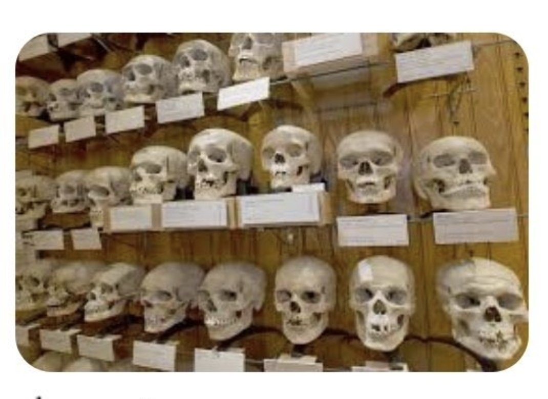 Boutaina lab⭐️⭐️ tweet media