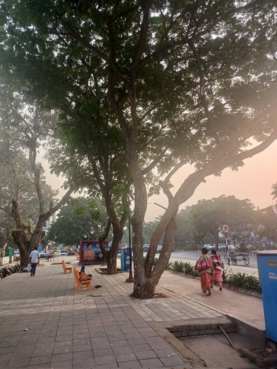 Aditya D.Pangul tweet media