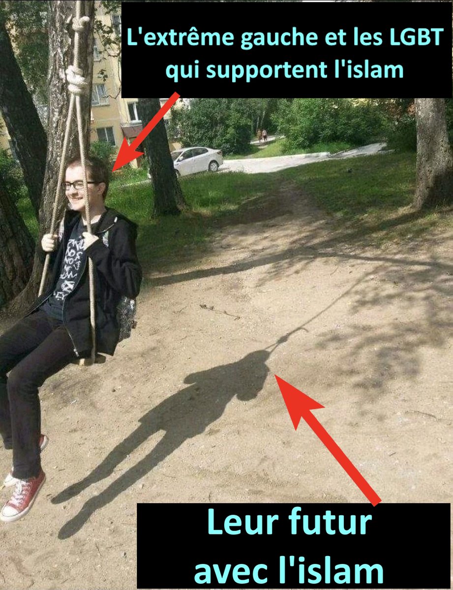 volga 🇨🇵 ⚜️Droite tweet media