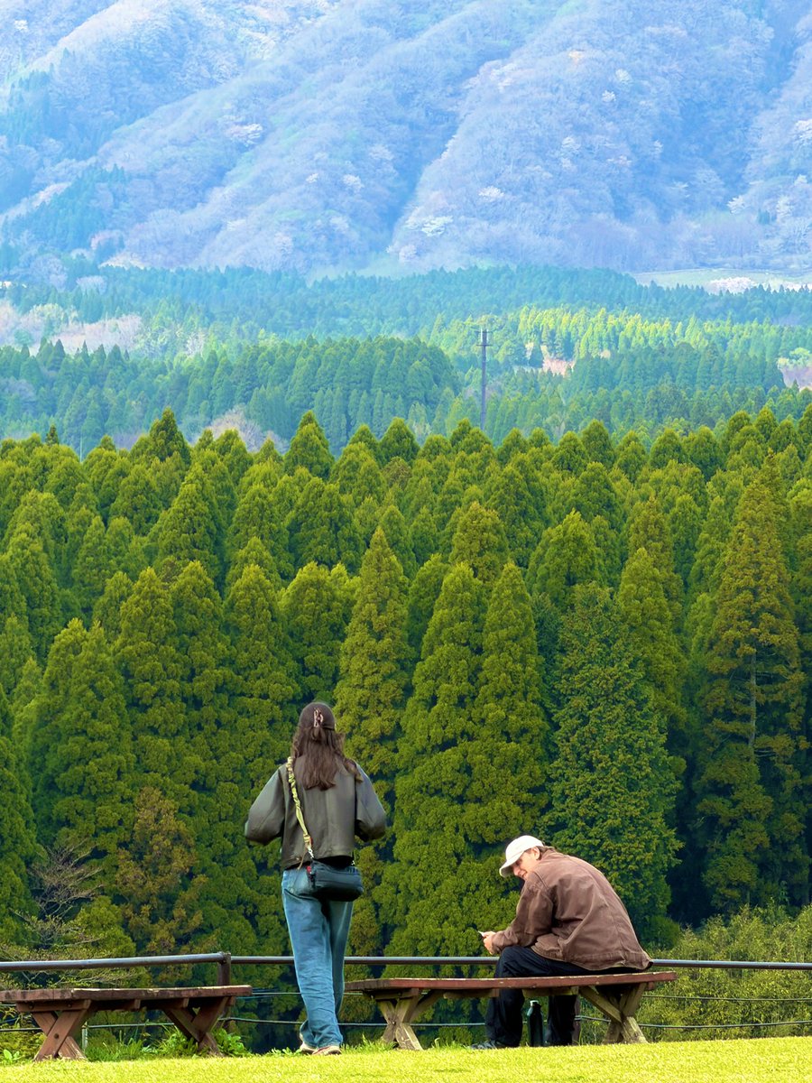 ☆クッスー tweet media