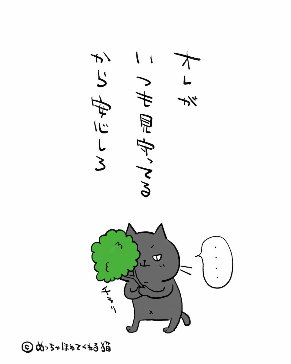 めっちゃほめてくれる猫 / えぐた tweet media