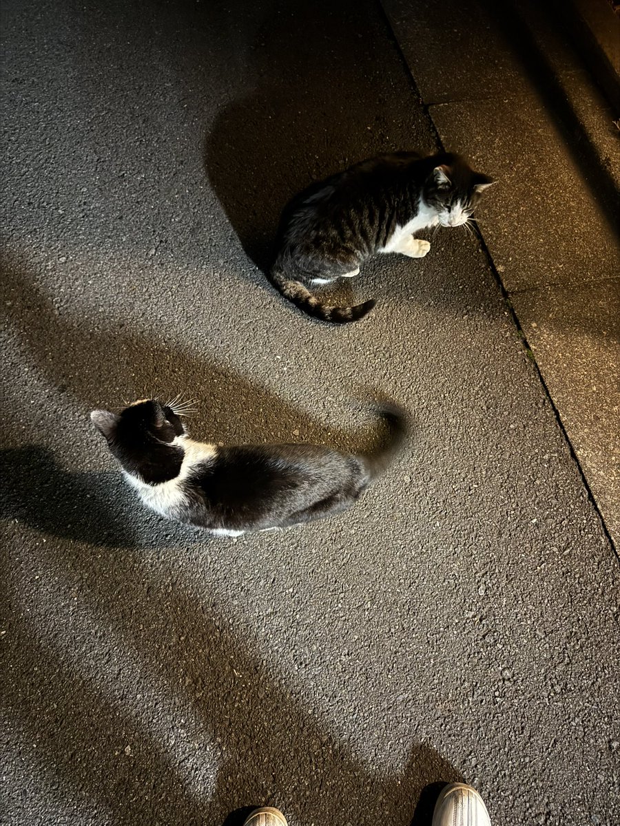 刹(4年経っても心は新妻 tweet media