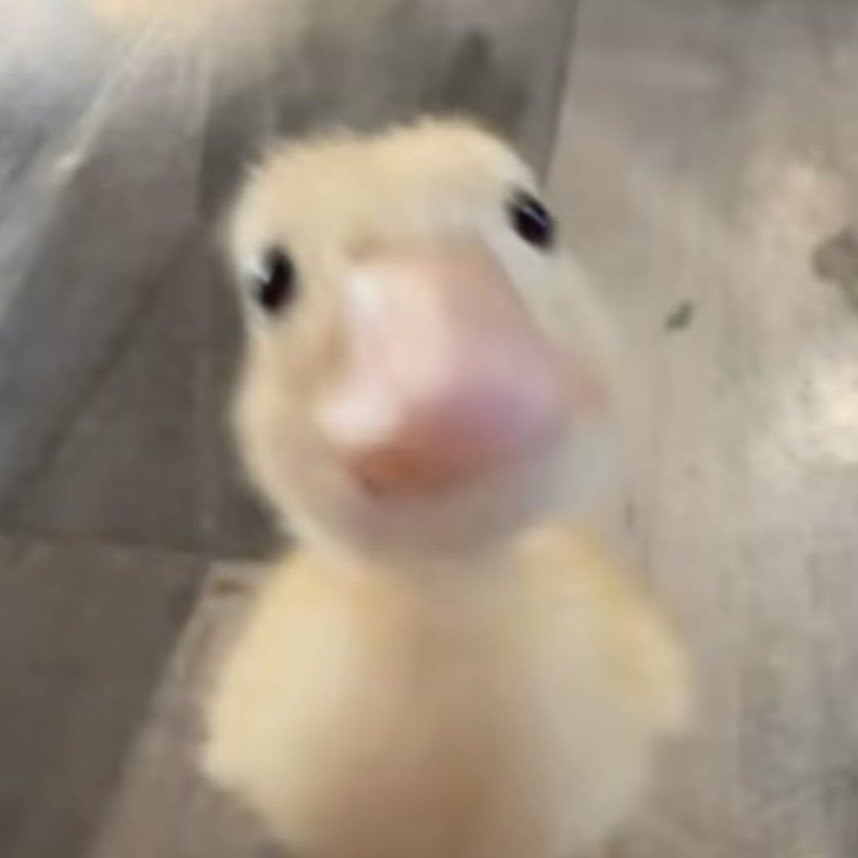 daemontsey 🎫 tweet media